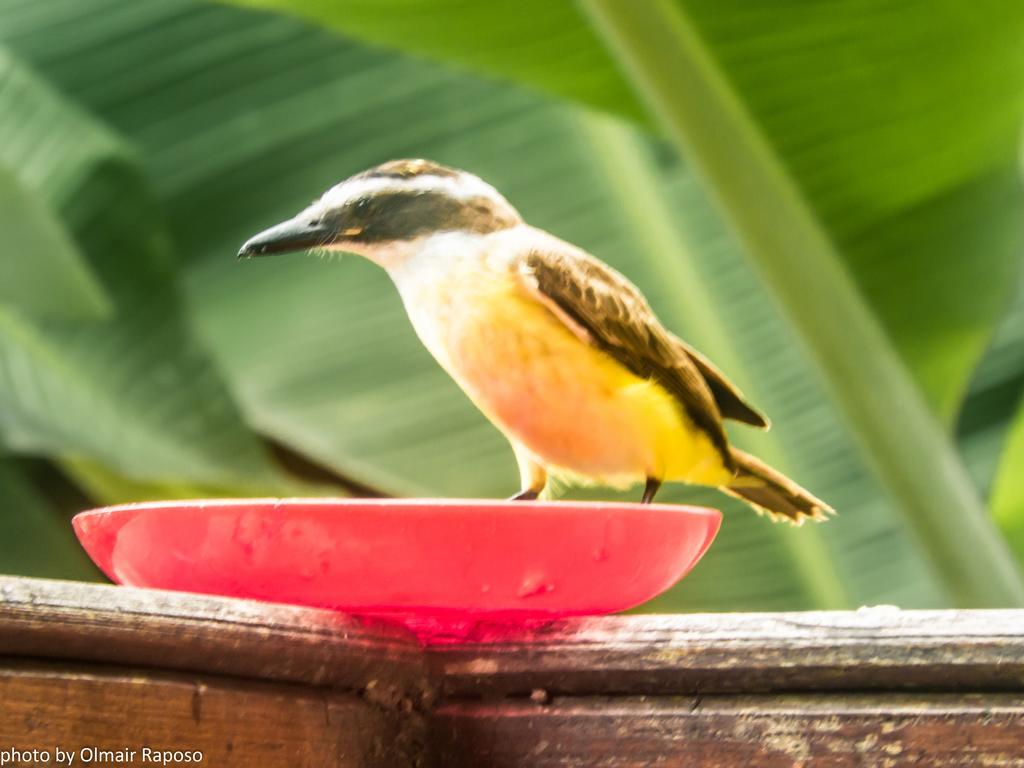 Apartamento Estudio em Ubatuba